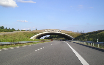 Grünbrücke Autobahn  A20 Geschendorf 13