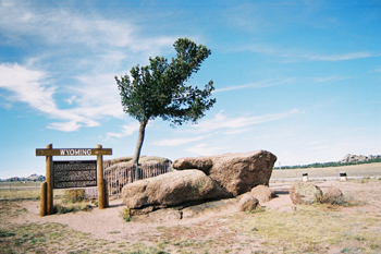 T Interstate_I-80_Highway_USA_Wyoming_Tree_in_a_Rock_Parkplatz_im_MIttelstreifen_29